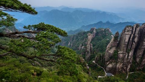 如何查自己的五行八卦,输入出生日期查五行